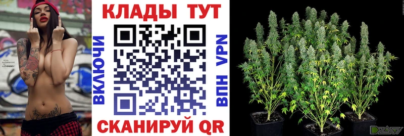 Сколько стоит Соликамск Канабис Меф мяу мяу МЕТАМФЕТАМИН Галлюциногенные грибы КОКАИН ГАШИШ Альфа ПВП