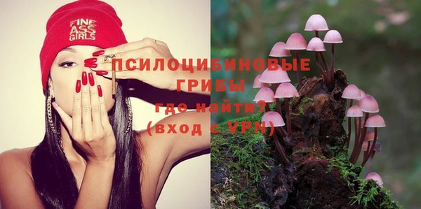 МДПВ Алексеевка