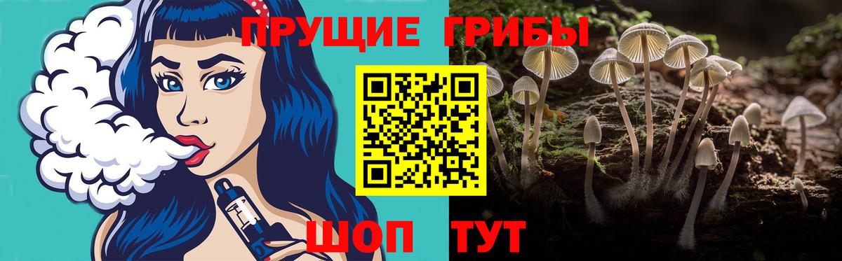 Соликамск  Галлюциногенные грибы Psilocybe  Вход с VPN  Псилоцибиновые грибы MAGIC MUSHROOMS 