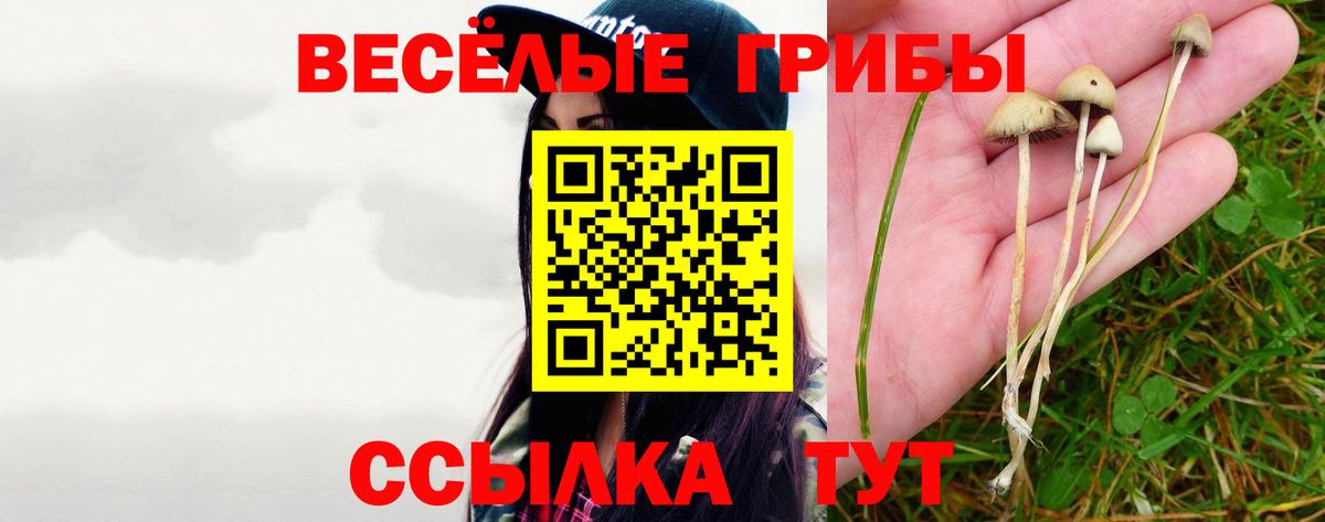Галлюциногенные грибы мицелий Соликамск